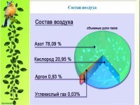 10 вопросов, которые не дадут вашим мозгам "окостенеть"