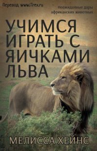 Книга — всё ещё лучший подарок