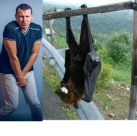 Что у этой птахи во рту?