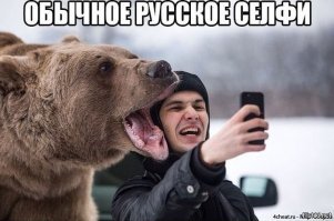 Прикольные и смешные картинки