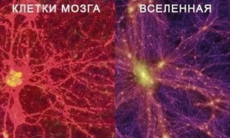 все что хотели знать о матрице...