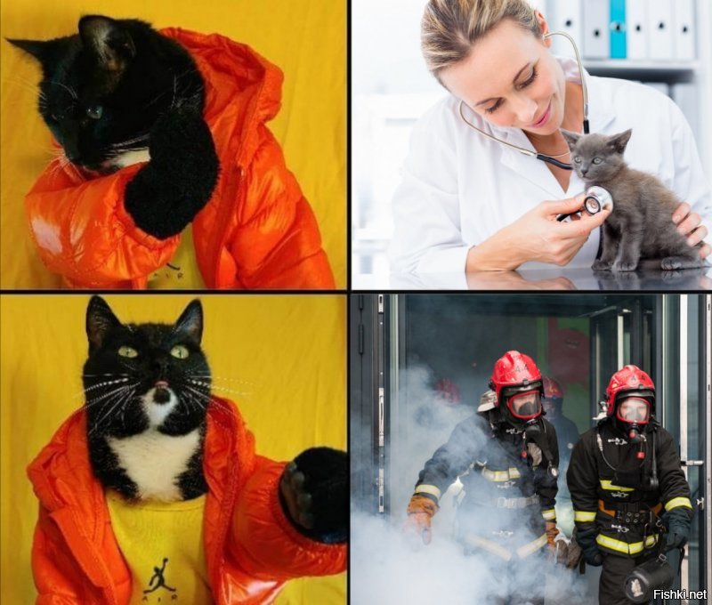Магаданские пожарные реанимировали спасенных из пожара котиков