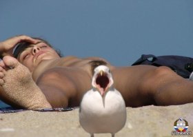 21 фото, которые станут проверкой на вашу испорченность