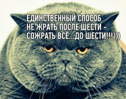 Когда ночью в тебя вселяется пищевой демон