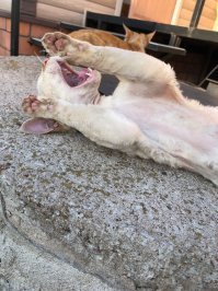 Моё чудовище