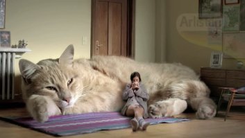 Художник из Японии создаёт картины с мирами, в которых обычные животные выглядят гигантами