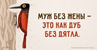 Прикольные и смешные картинки