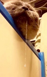 С добрым утром!