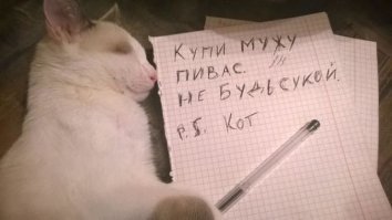 18 правил питомцев, которым как ни крути повинуется каждый хозяин