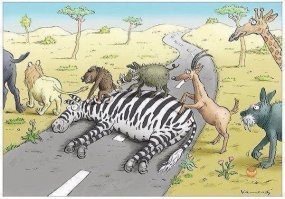 Почему пешеходный переход в виде "зебры"