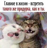 Не откладывай секс на старость, а торможение на конец полосы