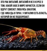Сколько стоит наесться раками в Ростове