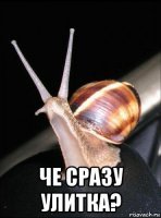 Прикольные и смешные картинки