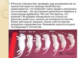 Позитивные новости о России за последнюю неделю 31.03.2019