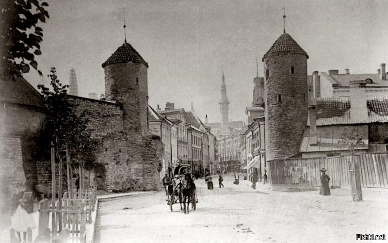 Tallinn 19v.