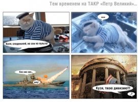 Про кота Матвея