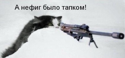 20 смешных котов, встретивших худший день в своей жизни