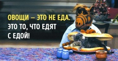 Съедобные мультики: как научить детей есть брокколи и шпинат