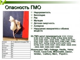 Позитивные новости о России за последнюю неделю 31.03.2019
