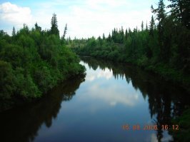 А мне вот это. Сибирь, тайга...