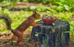 Фотоподборка за 01.04.2019