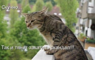 Свежая подборка демотиваторов, которые поднимут вам настроение