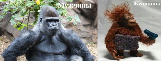 20 доказательств того, что мужчины и женщины произошли от разных обезьян