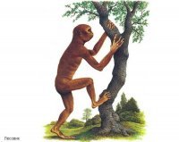 Какое будущее? Я таких постоянно на улице вижу.