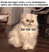 Свежая подборка демотиваторов, которые поднимут вам настроение