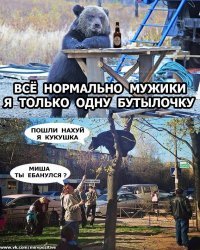 Заменил папу: российский биолог спас и воспитал 230 медвежат