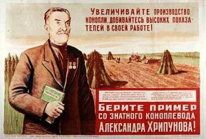 20 шишек, которые всем шишкам шишки