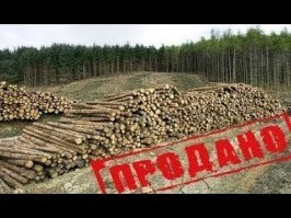 если это правда, то это лишь маленькая, и при текущем руководстве, лишь временная победа.