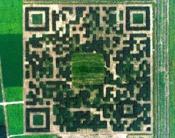 Код на WeChat отправляет