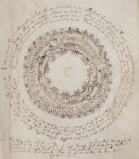 Рукопись Войнича