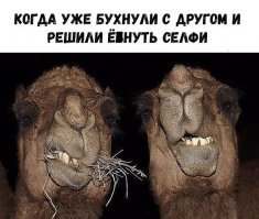 Клянутся, что без фотошопа
