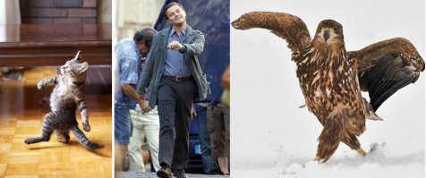 А почему не срвнивают с другими известными..