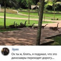 Ученые обнаружили кладбище Юрского периода