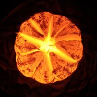 Думаю, если порыться, то у любого человека подобных фото найдётся немало....