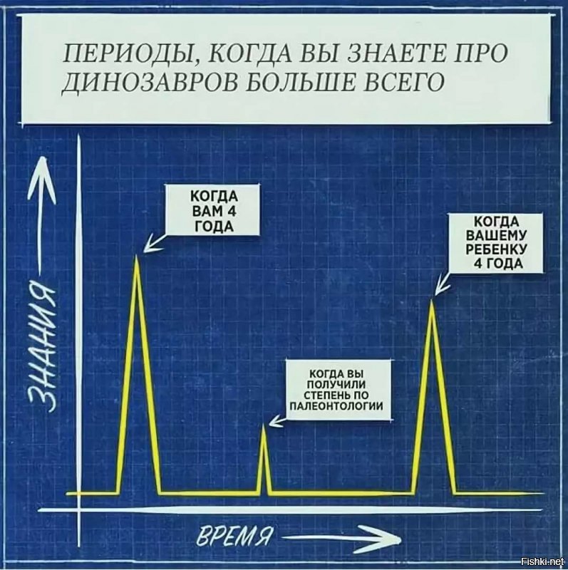 Ученые обнаружили кладбище Юрского периода