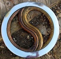 вот такой надо было делать