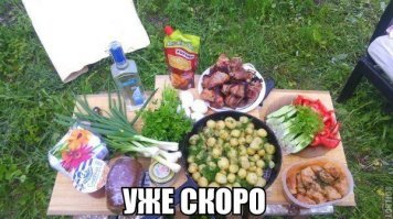 Прикольные и смешные картинки