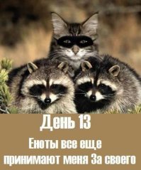 С добрым утром!