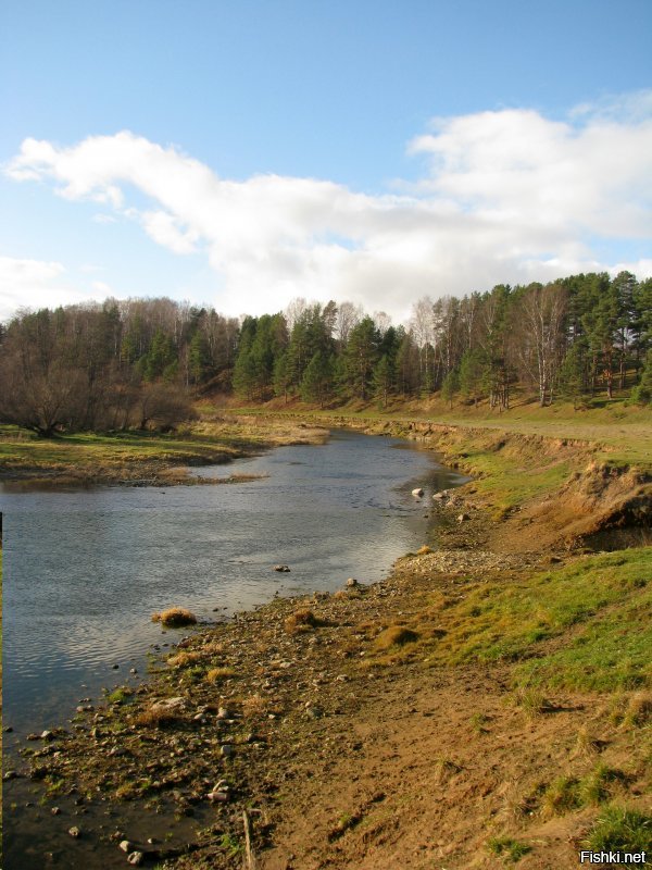 Как ни странно, но такие же виды в 200 км от Москвы.
И те же бобры...
