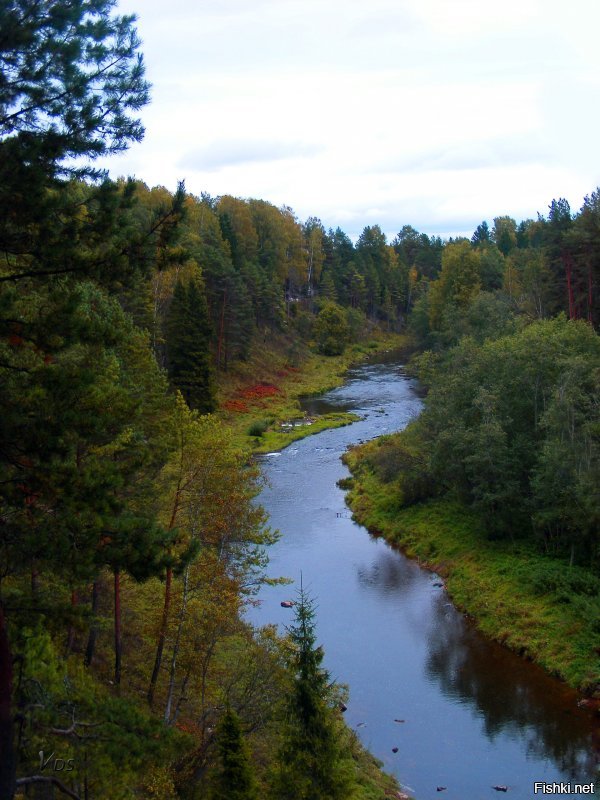 Как ни странно, но такие же виды в 200 км от Москвы.
И те же бобры...
