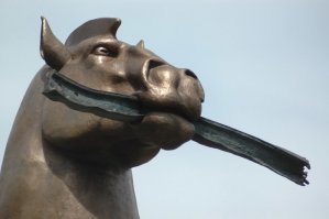 Конь. Воронеж.
У меня фсё.