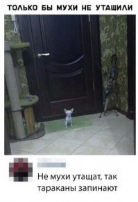 Нашим комарам на один укус.