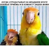 Прошло 20 лет и теперь так выгляжу уже я сам а не мой младший брат.... 
Мама ,а как же так? Он же все равно младший