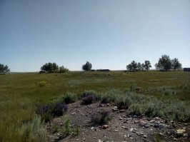 Ээээх,вот что осталось от моей деревни !