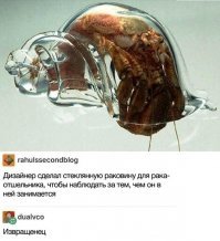 Вы видели всё в жизни?