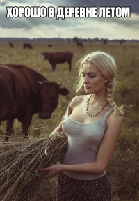 Неожиданные особенности деревенской жизни, на которые без улыбки не взглянешь